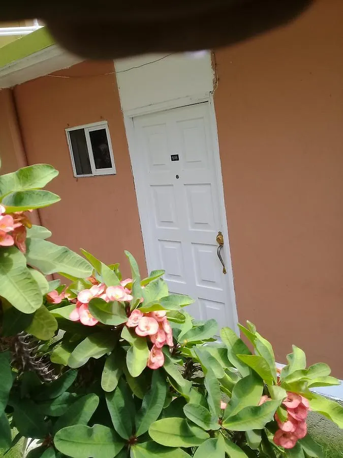 City Studios Montego Bay Jamaika