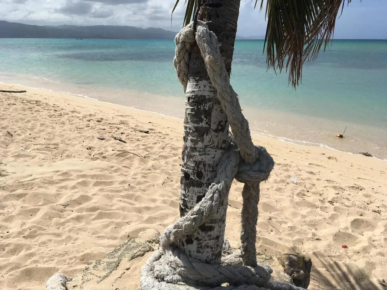 Appartement City Studios Montego Bay