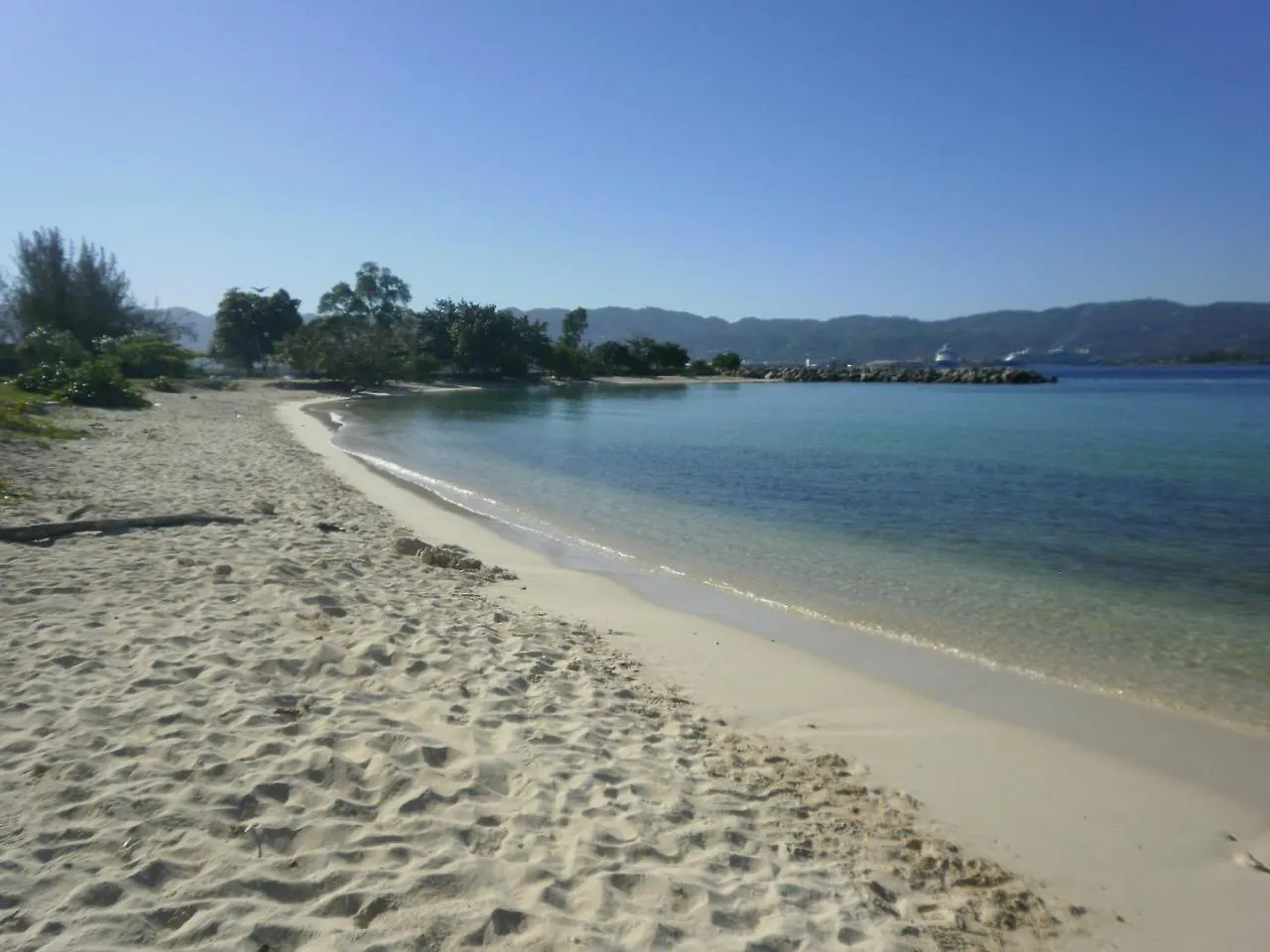 City Studios Montego Bay Appartement